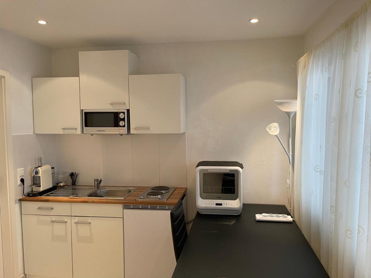 City Apartments Bad Säckingen Екстериор снимка
